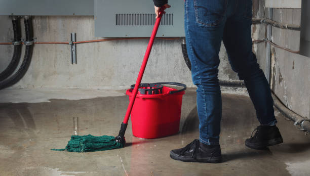 Best Water damage restoration near me  in Fletcher, OK